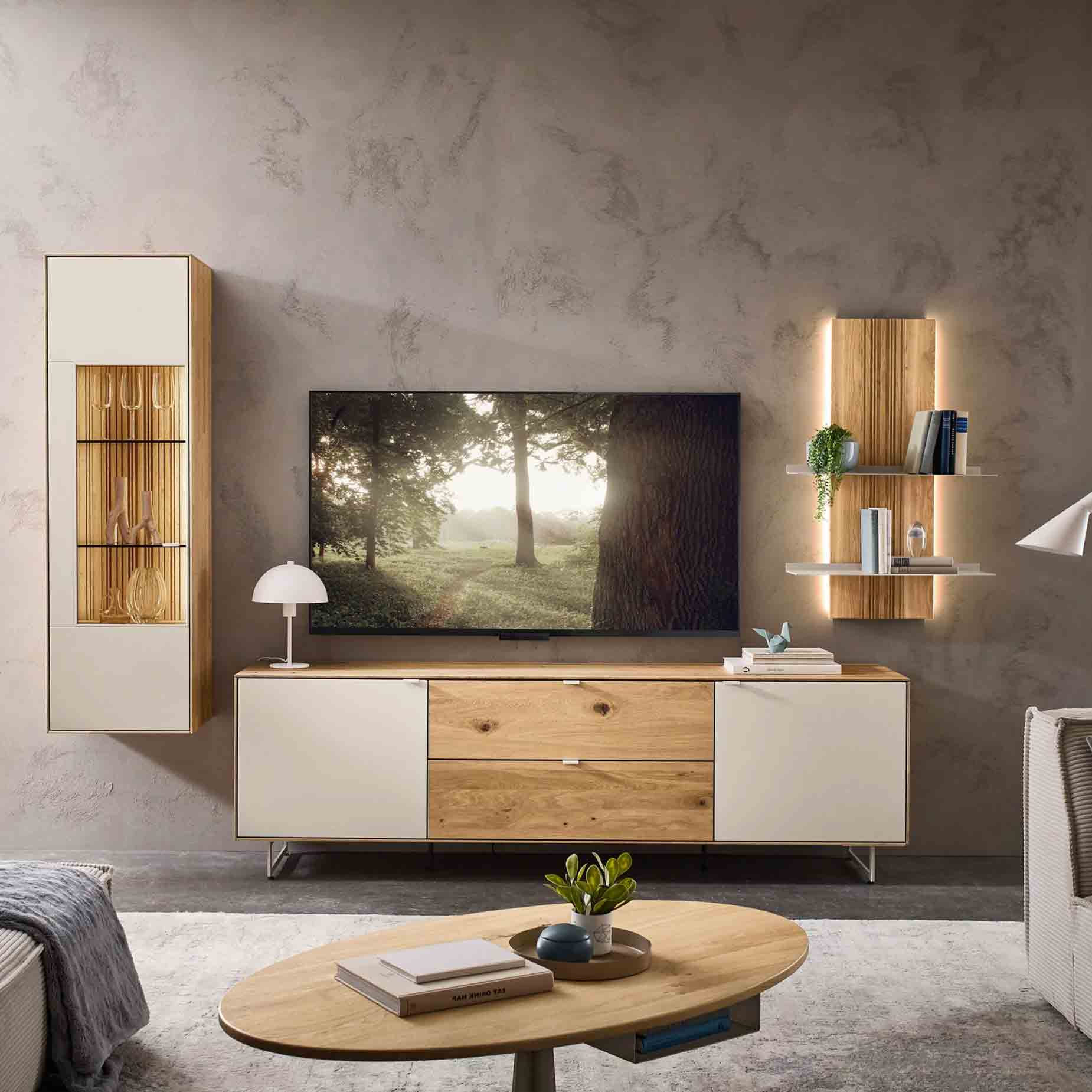 WM 2610 Wohnwand 0103 bestehend aus einem Lowboard, Hangeeleend und eine Paneelregal