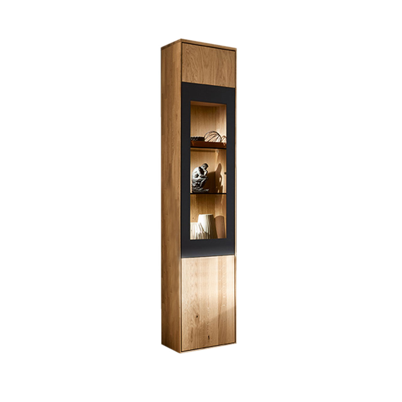 Hängeelement Type 15334 als Vitrine abgesetzt mit einem carbonfarbigen Metallrahmen.