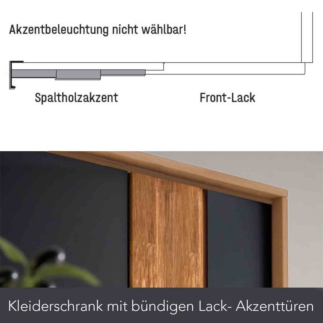 WSL 8800 Kleiderschrank mit Spaltholz Akzent und Lacktüren bündig